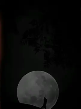 ka tho 🫴A Charta pa khob ke rashe 🥰✌️ #unfrezzmyaccount #viral #foryou #foryoupage #black_irfan_22 #pashtosong #tiktok 