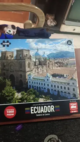 Rompecocos #hobby #aficiones #rompecabezas #rompecocos #ecuador #catedraldecuenca #catedral #cuenca 