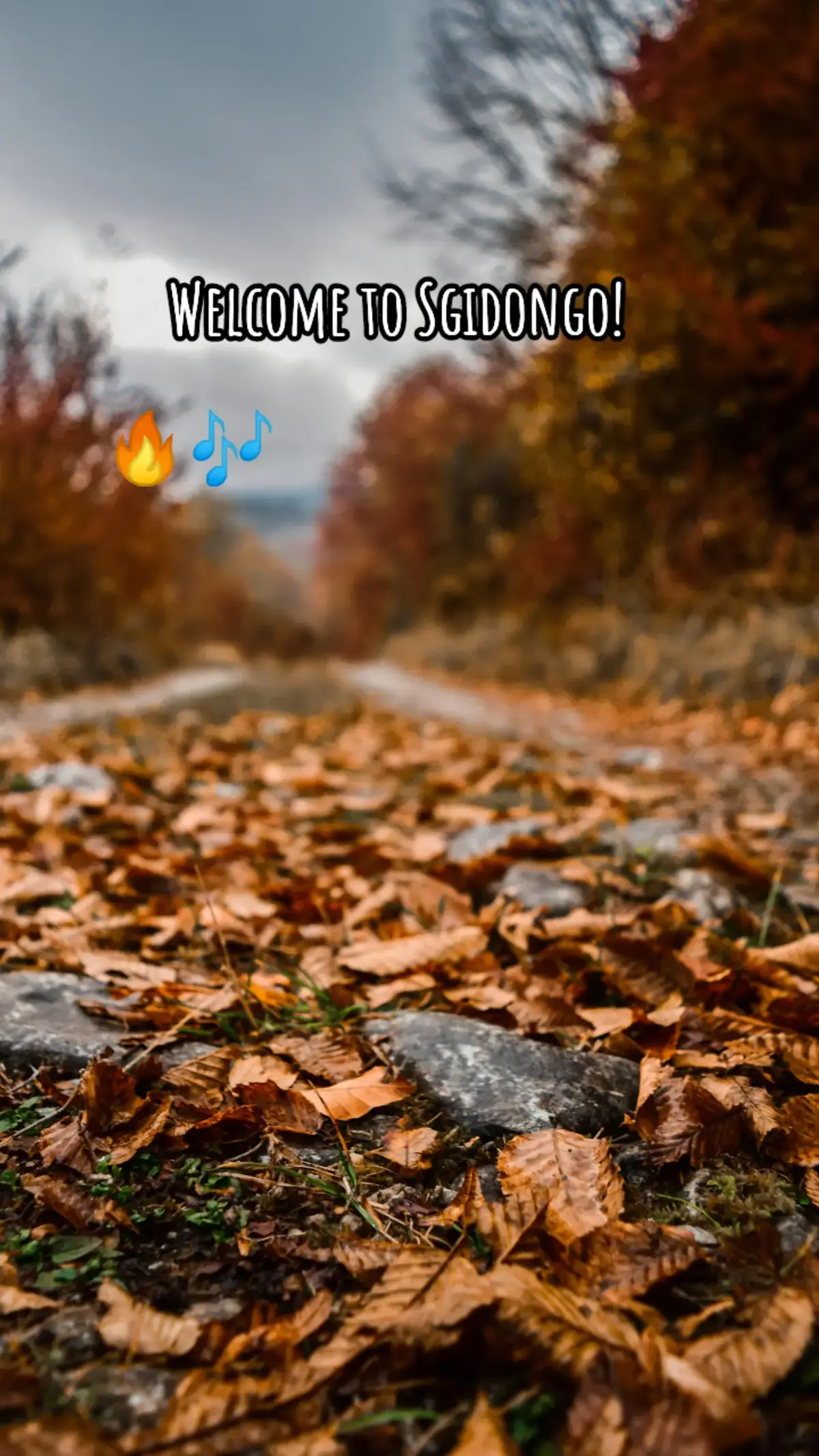 #foryoupage #explorepage #fyp #botswana #southafrica #sgidongo #sgija 