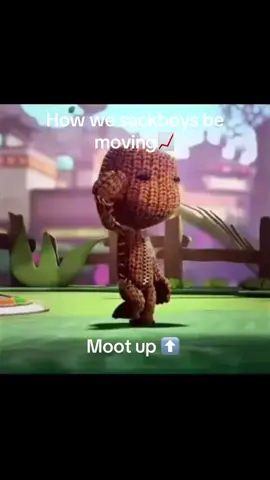 Moot up gng#fyp #moots? #moots #sackboy #mootup #mootsanyone 