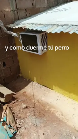 la consentida de la casa 😍😍😍#CapCut 