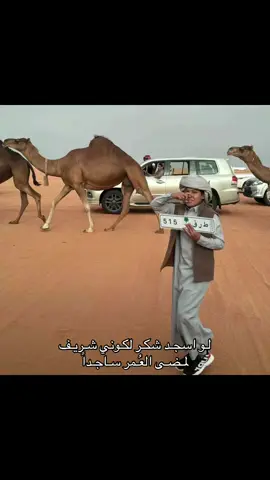 #fyp #foryou #الشريف #515 #احفاد_الرسول 