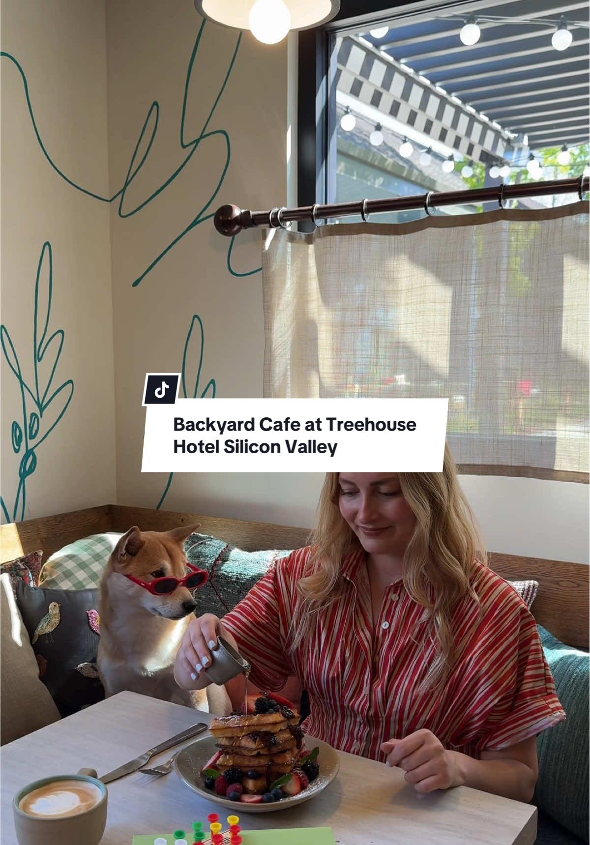 POV: you find a pet-friendly cafe in Silicon Valley to hang out with your dog, eat home-made sandwiches and sip on fair-trade coffee. ☕️ #siliconvalley #petfriendlyhotel #travel 