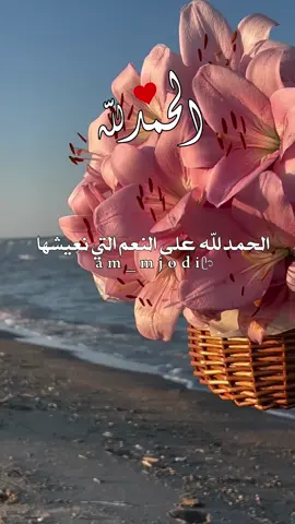 #اللهم_امين_يارب_العالمين 🤲🏻🤍🤍🤍🤍🤍🌼 #الحمدلله_دائماً_وابداً #امين_يارب🤲🏻🥀🕊️ #oops_alhamdulelah #صلي_على_النبي #دعاء_جميل #دعاء_يريح_القلوب_ويطمئن_النفوس #اكسبلور ᥫ᭡ 