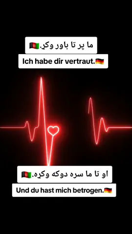 #afghanistan🇦🇫 #pashtovelog #germany🇩🇪 #ahahmadzai 