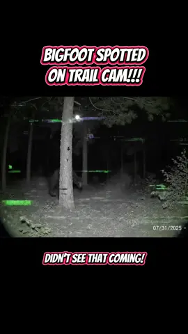 Haters will say it’s AI… #bigfootisreal #bigfoot #caughtoncamera #trailcamera 