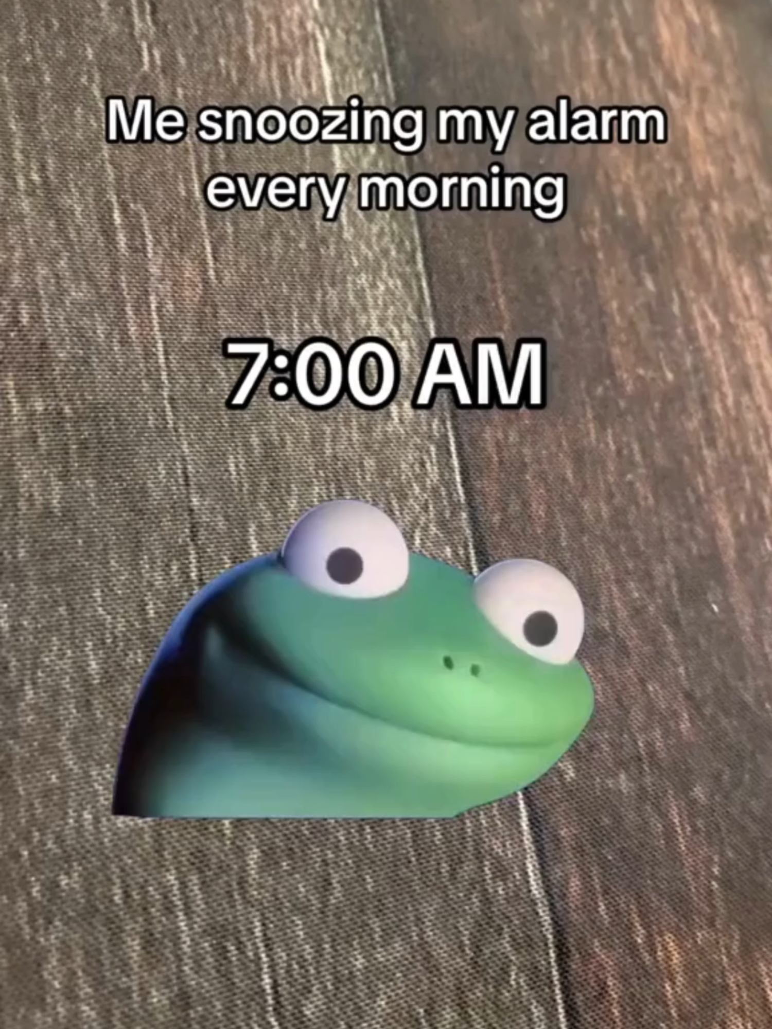 #lizard #lizardmeme #memecut #memetok #lizardlizardlizard #funny #fyp #viral #trending