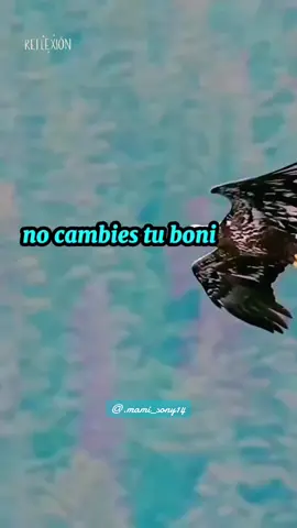 #tiktok #reflexion 