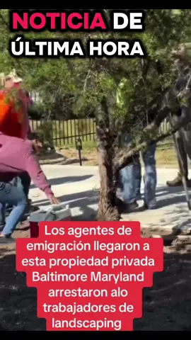 Los agentes de emigración llegaron a está propiedad privada donde arrestaron todo los trabajadores de landscaping Baltimore Maryland #noticiastiktok #noticiasen1minuto #migracion #agentesdeice #trabadores #baltimoremaryland #trabajadoreslatinos 