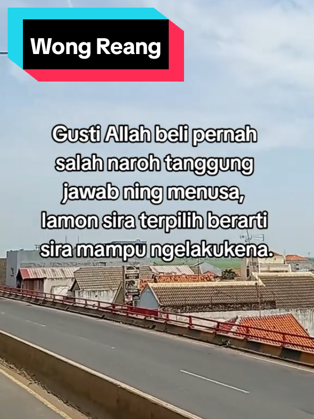 #tarling_indramayu_cirebon #indramayu #cirebon #subang #wongreang #wongbongas #indramayupride🏴‍☠️ #cirebonpride🏴‍☠️ #subangpride🏴‍☠️ #lewatberanda #fouryou 