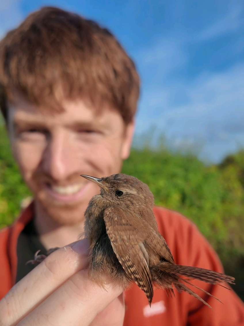 It's baby season out there in birdland... #birds #cute #science #fyp #nature 