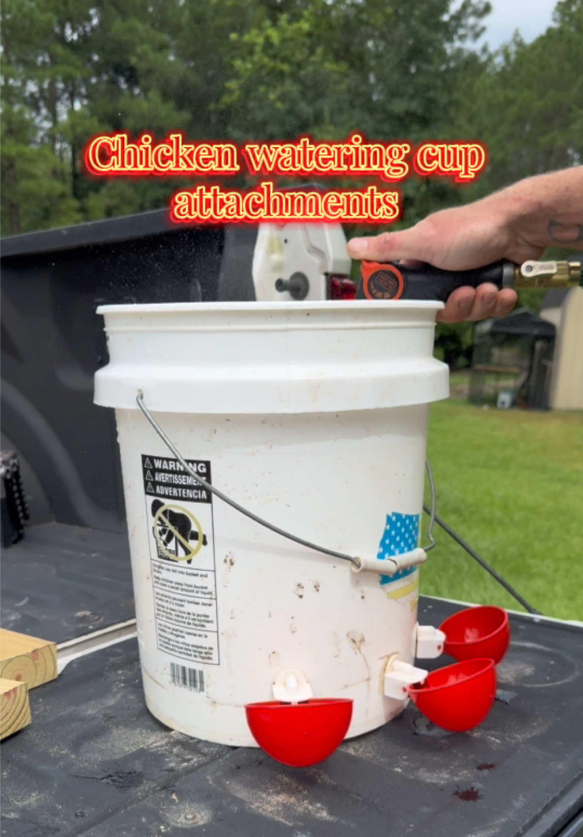 Best equipment we’ve bought on this app!  We only fill the waterers up every couple days instead of daily now!  You can even put them on buckets bigger than 5 GAL it doesn’t have to only be a 5 GAL! 🤪🤪🤪 #chickens #homestead #smarternotharder #farmhack #chickenhacks #easyliving 