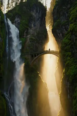 🌿When nature leaves you speechless… Quand la nature te laisse sans voix… This light, that bridge…just look.  Ce pont, cette lumière… regarde.  #slowcontent #tiktoknature #naturephotography 