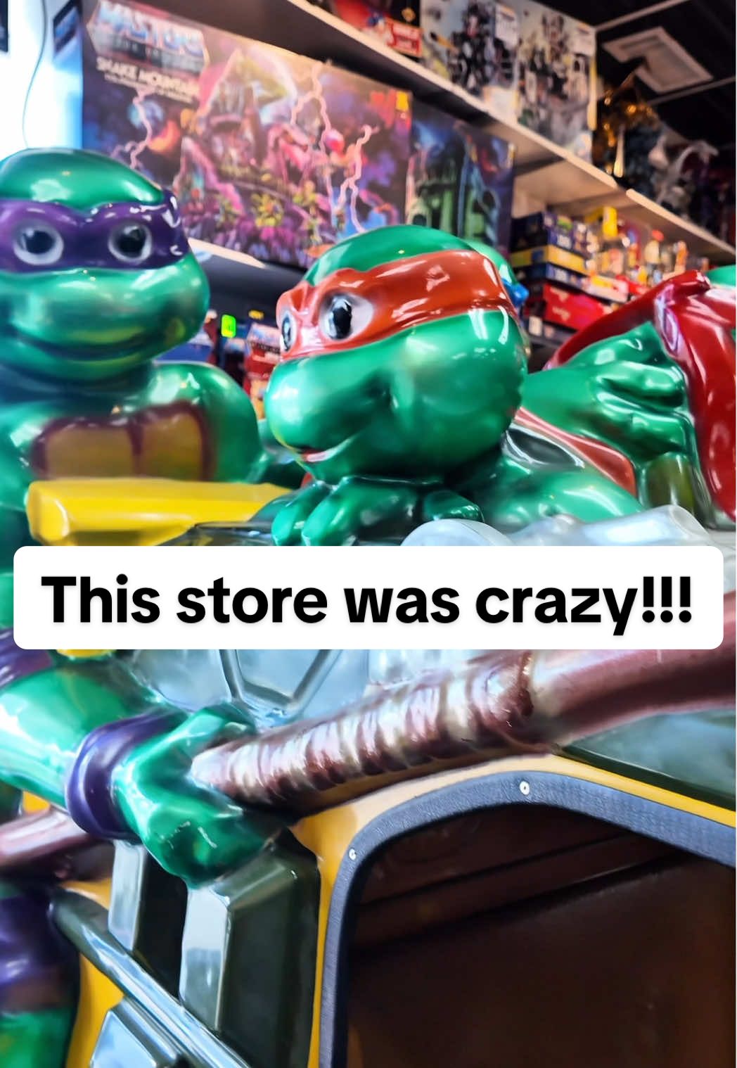 Drop your favorite find in the comments! And if you haven’t made the trip yet, what are you waiting for?! Tag a toy hunting buddy and plan your next nostalgic road trip. @TimeBlasterToys was definitely a highlight of our roadtrip! Be sure to check them out at the Westland location before they move at the end of August. #retro #nostalgia #90s #vintage #childhoodmemories