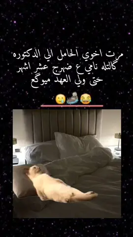 #fypシ #مقاطع_مضحكة #الشعب_الصيني_ماله_حل😂😂 #CapCut 