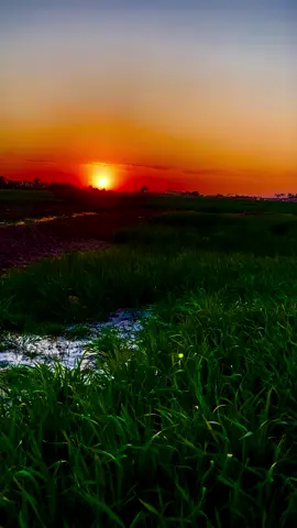 #تباً_للبشريه #اكسبلورexplore❥🕊🦋💚❤ #بيت_شعر_ميروح_من_بالك #من_حب_لقاء_اللَّه_احب_اللَّه_لقاءه 