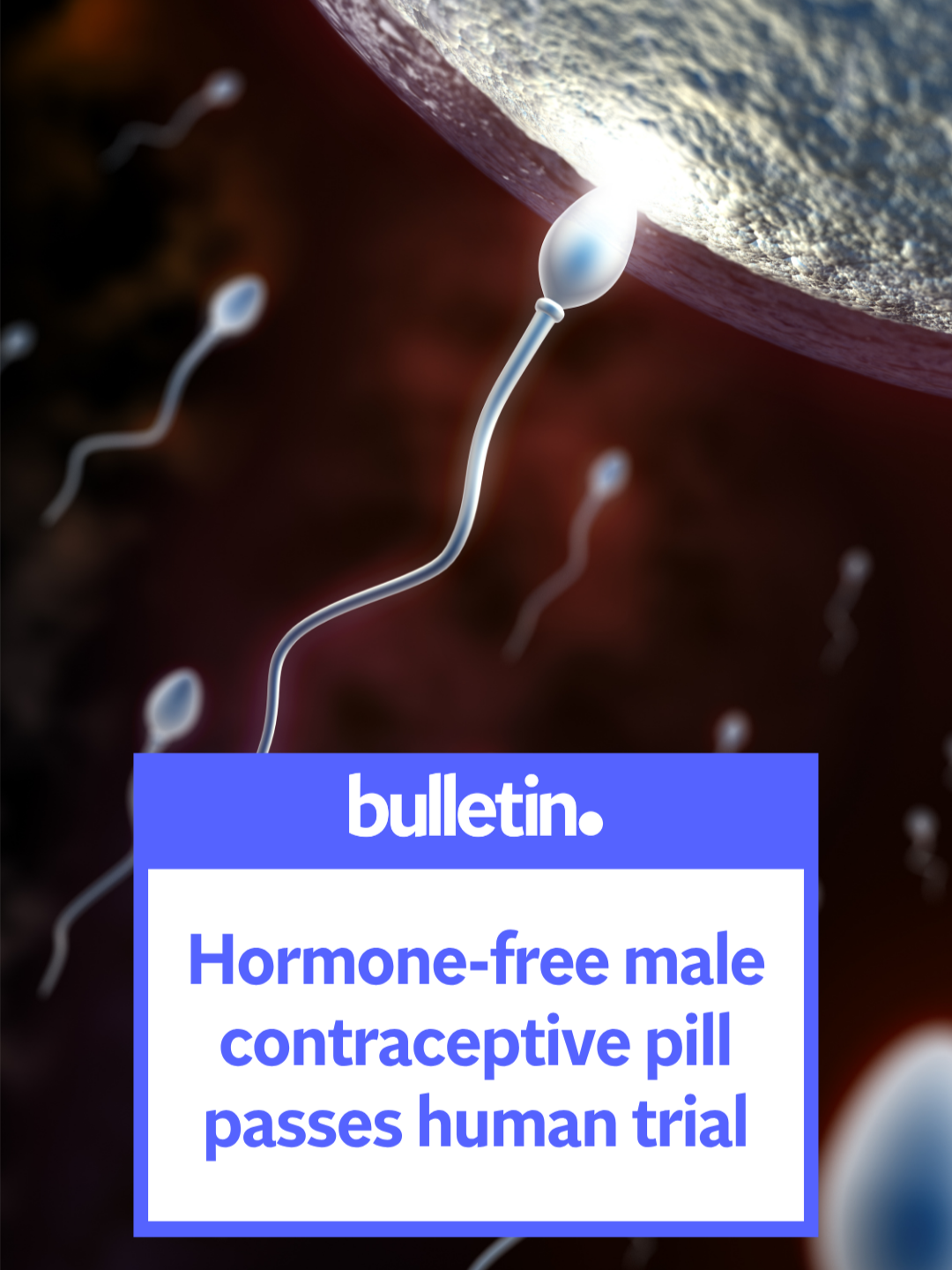 A new hormone-free male contraceptive pill, YCT-529, has demonstrated safety in early-stage clinical trials. Click link for more 📰 Bulletin - News for seriously busy people.  #malecontraception #contraceptivepill #nonhormonalpill #birthcontrol #healthcare