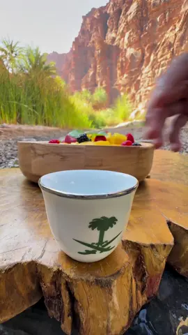 ترافيل 🥭 مانجو #مذاق_الطبيعة #صيف_2025 #summervibes #foryou #outdoor #cook #طبخ #fyp #outdoorcooking #NEOM #السعودية🇸🇦 #مطاعم #نيوم #اكسبلور #ترند #حلا 