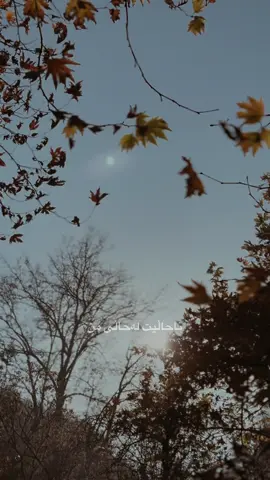 ‎ده‌نگ و ڤیدیۆ:خۆم