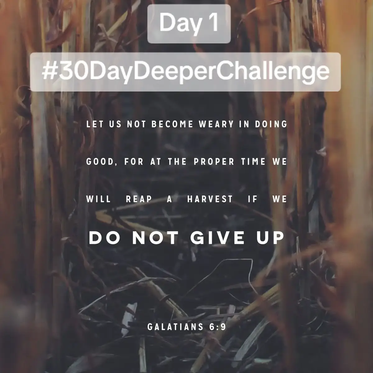 #30DayDeeperChallenge #christiantiktok #God #christian 