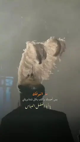 #CapCut ياابا الفضل  لاتردني فانا اتوسل بك  الىﷲ واسأله بجاهك ان لا  يخيب املي ولا يرد دعائي 