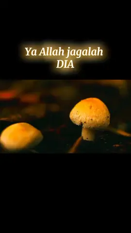 Ya Allah jagalah Dia❤️ #doaislami #bantuaminkan #bantusebarkan #ijabahdoakuyaallah #fyp 