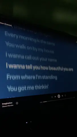 Imagination  #imagination #lirycs #shawnmendes #fyp #spotify 