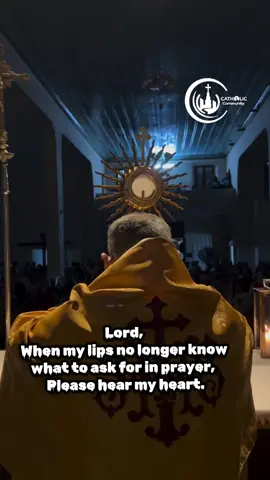LORD,   When my lips no longer know what to ask for in prayer,   Please hear my heart. #prayer #prayerforyou #catholicsoftiktok #catholictiktok #catholichymn 