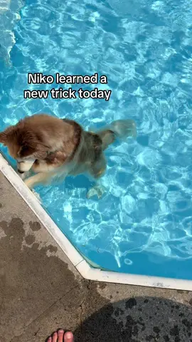 Learned he could stand in the shallow end today, who knew 🤷‍♂️