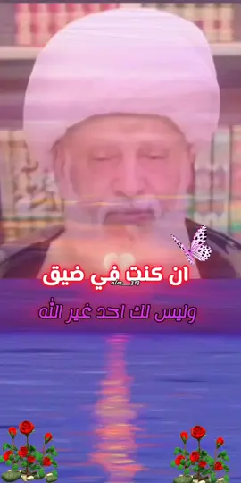 #ياالله💚ياالله💚ياالله💚ياالله #اللهم_انك_عفو_تحب_العفو_فاعف_عنا #يارب❤️ #