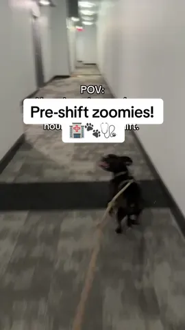 It’s almost as if your dog only gets the zoomies and decides to explore ONLY when you’re on a time crunch before your 12-hour healthcare shift. 😅😂 #workinginhealthcare #healthcarehumor #walkingyourdog #lifeinhealthcare #12hourshift #dogowner #dogzoomies 