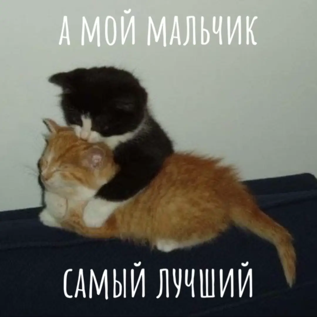 @Bestaford люблю тебя очень сильно  #loveyou 