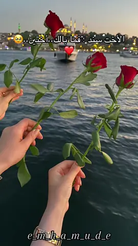وانتو كم إخت عندكم#زوجي_دنيتي_وكل_حياتي #ولادي_ياضحكة_قلبي❤_يخليلي_ياكن_ياحياتي😚😍 #عيلتي_الحلوه #اعادة_النشر🔃 #ام_حمودة💙 