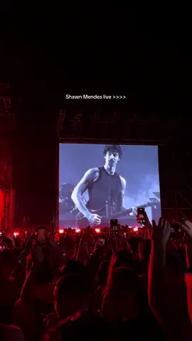 A core memory ❤️‍🩹 #shawnmendes #shawnmendesthetour #sunnyhillfestival #dualipa #fyp 
