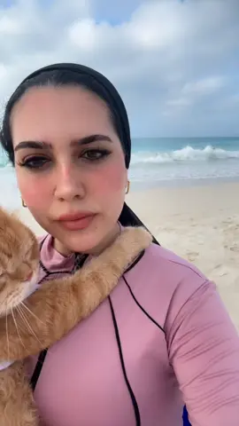 Nesonamy hena  @Rehameow 🐾 🌊#hazal2om_cat #catsoftiktok #PetsOfTikTok #beachvibes #sahelvibes 