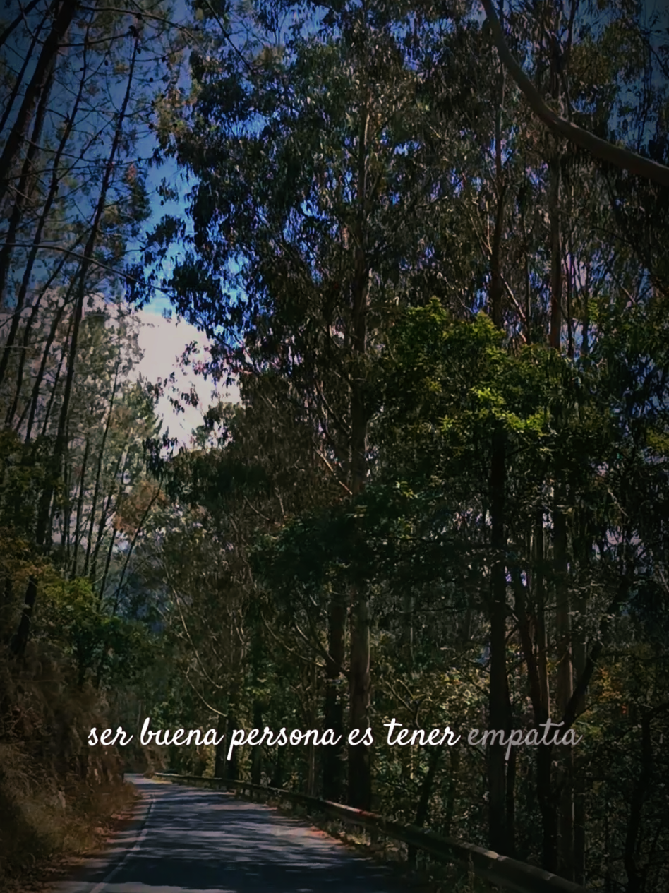 *La verdadera nobleza no hace ruido* ✍️ #reflexion #personas #personasvitamina #personasincreibles #empatia #honestidad #2025 