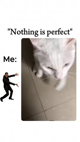 He's resisting!!!!! #cat #funnycats #cutecat #tasergun 