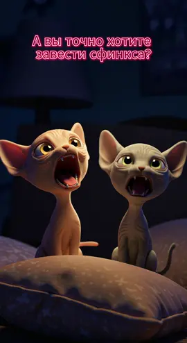 Я с ними счастлива 😁 #сфинсы #aicats #klingai #sphynxoftiktok 