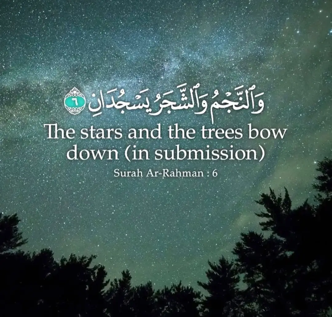 #foruyou #foryoupage❤️❤️ #foryoupageofficial #likе #fyp #viral_video #tiktokviral #islamic_video #islamic #islam #goviral #Allah #Quran #tik_tok 