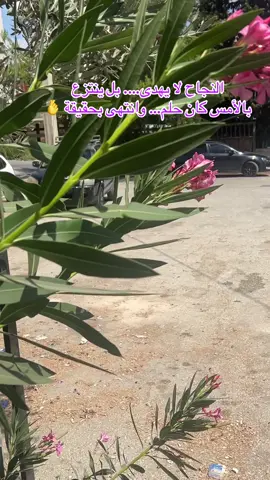 #سلفيت_رام_الله_جنين_بيت_لحم_يافا #الشعب_الصيني_ماله_حل😂😂 #مشاهير_تيك_توك_مشاهير_العرب #اتقان_العمل_عبادة #الدروس تعليم السياقه سلفيت