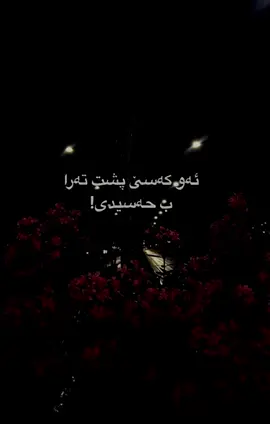 #گوهداربـــــــــــــە🤍 #❤️🌝 ##في هذا اليوم 