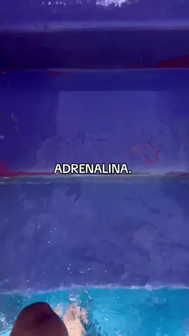Definição de adrenalina #fyp #foryou #parqueaquatico 
