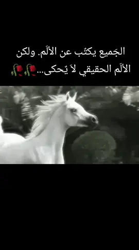 #كنت_مدلل_عندي_وغالي#اكسبلور #تركيه_قيصريه #نعيمي_وافتخر😌👑 #دمشق #حلب #سوريا @(أبہو♛يہزنہ♛نہعہيہمہيہ♛𝟝𝟙𝟝) 