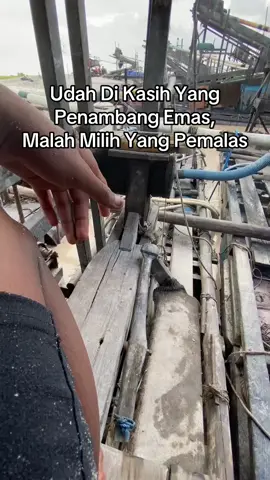 #fyplewatberanda   #tambangemas #kalimantan