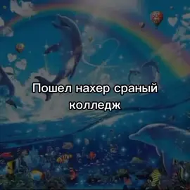 У всех школа,а у меня 1 курс#колледж #дельфины #рек 
