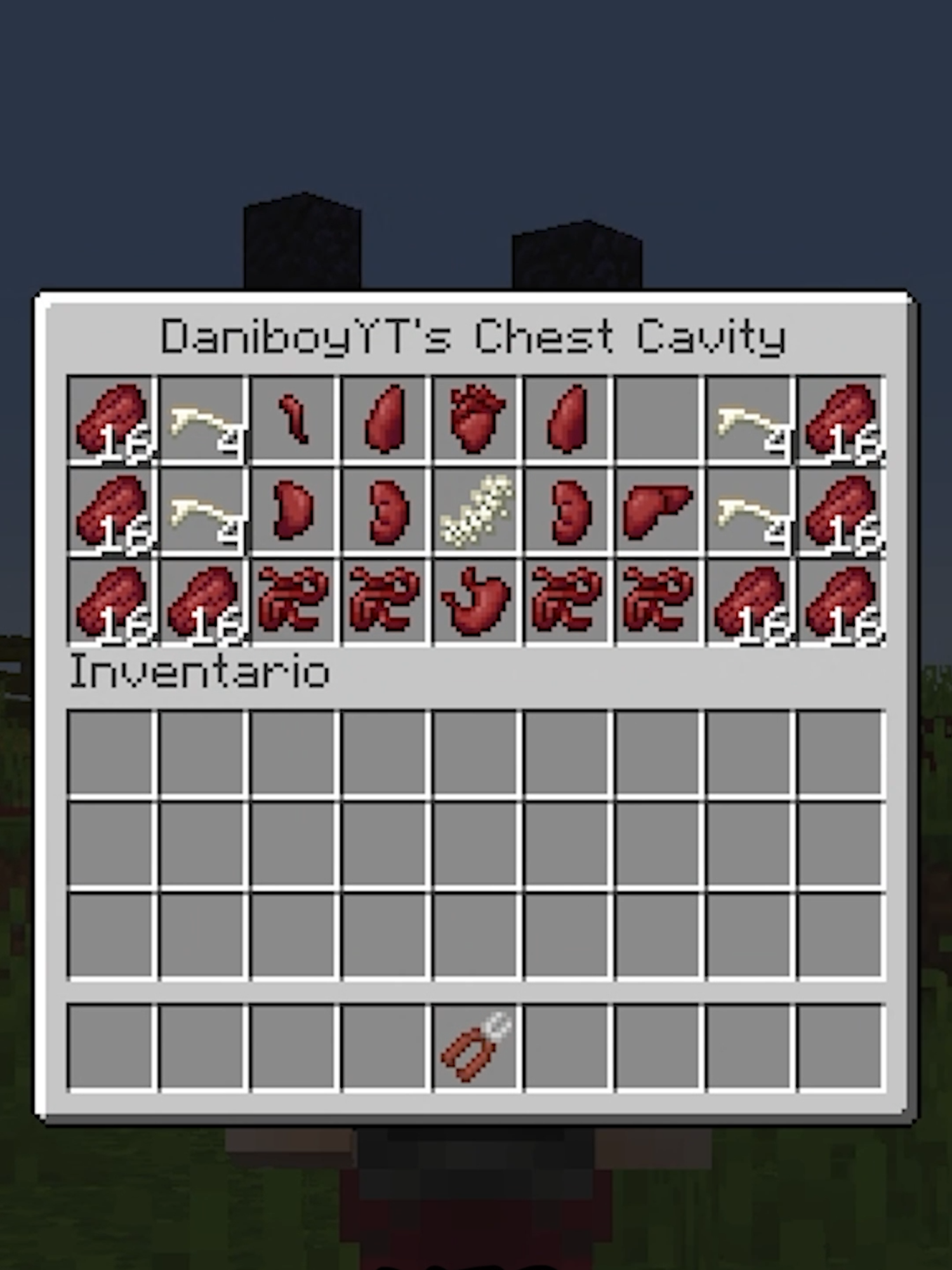 EL MOD MÁS RARO! 😱⛏️ | CHEST CAVITY MOD #Minecraft #gaming #videojuegos #hack