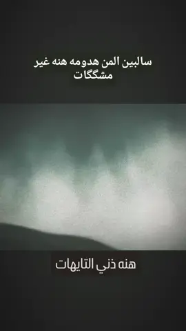 #سيدفاقدالموسوي💔💔💔 #شور #🔸حسين 
