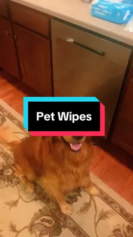 PicePet Pet Wipes #tiktokshopbacktoschool #tiktokshop #pet #PetsOfTikTok #dogsoftiktok #dog #animals 