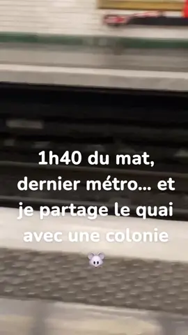 Quand t’attends le dernier métro et que c’est Ratatouille qui arrive en premier…                                     #TikTokFrance #Rats #RatLife #souris #loveParis #fyp #🐁 #virale 