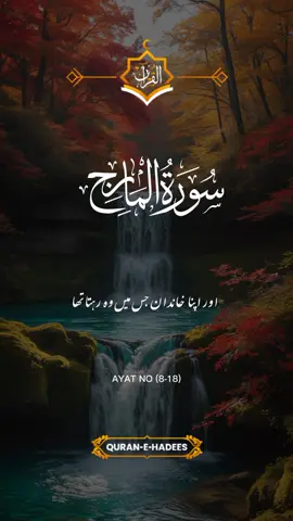 #creatorsearchinsights #tiktok #foryou #foryoupage❤️❤️ #fyp #trendin #fpy #fpyシ #quran #allah❤️ #quran_alkarim #islamic_video #unfreezemyacount 